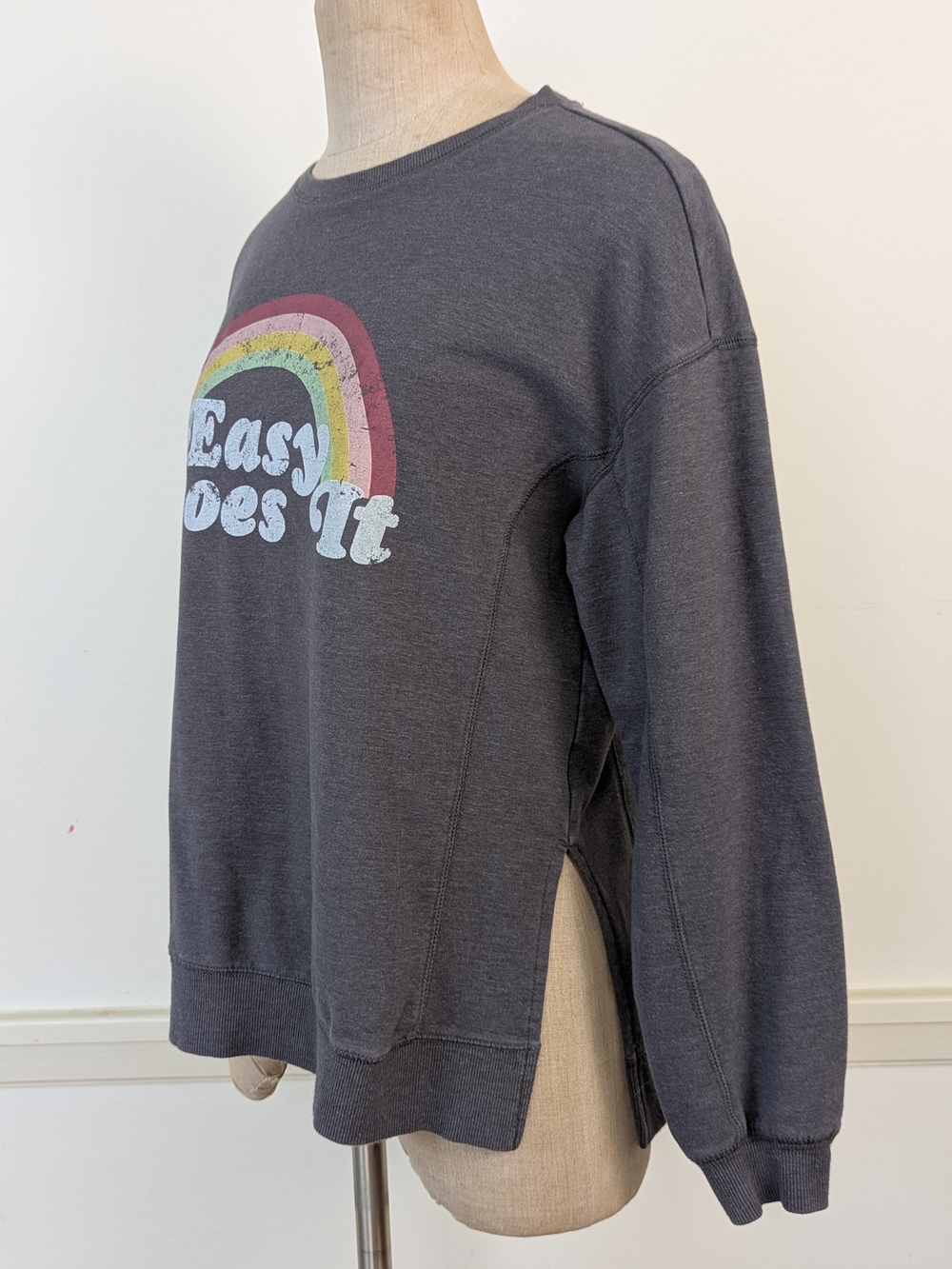 Wildfox Charcoal 'Easy Does It' Rainbow Graphic Pullover M